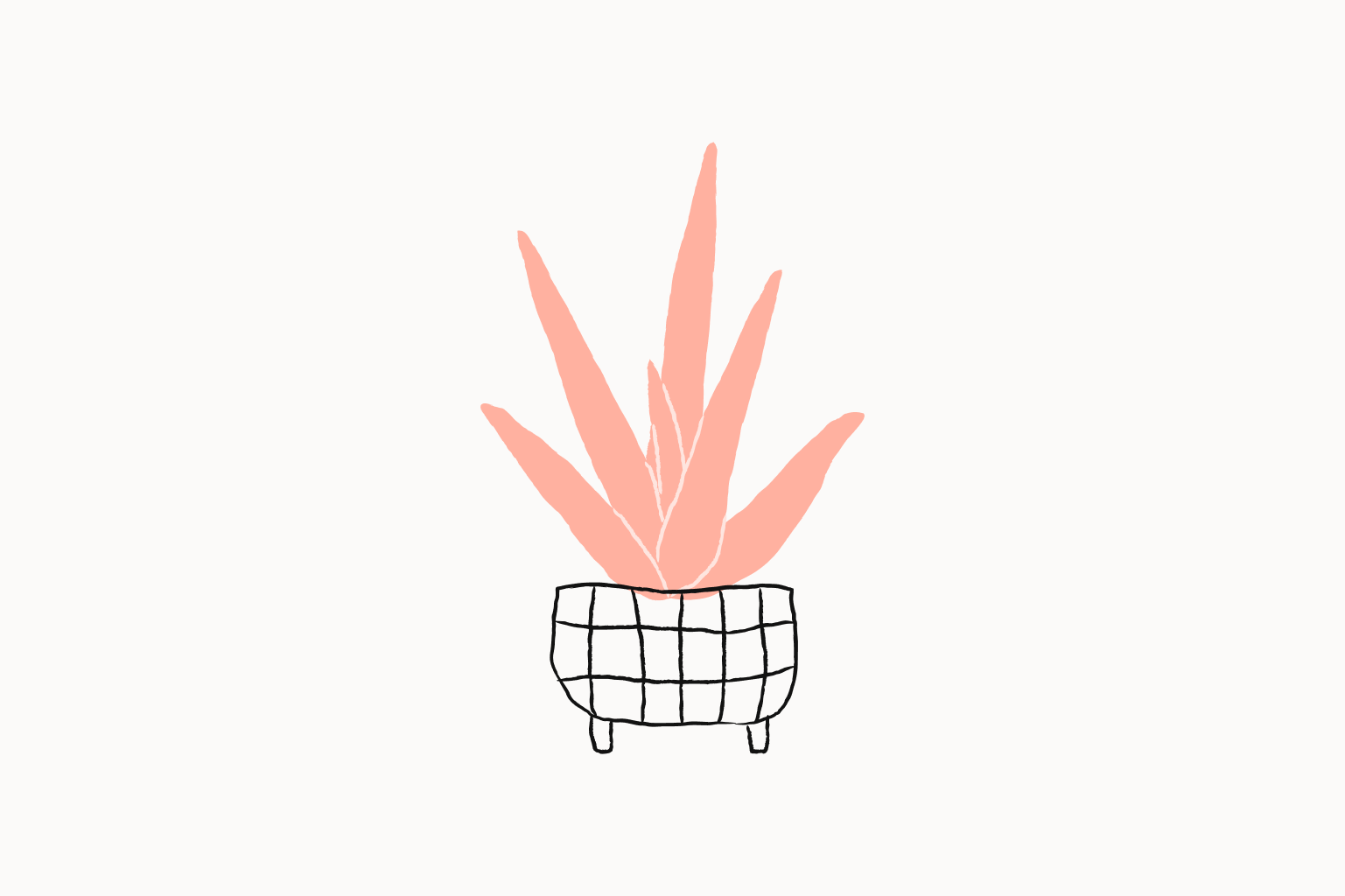 Building My Digital Garden